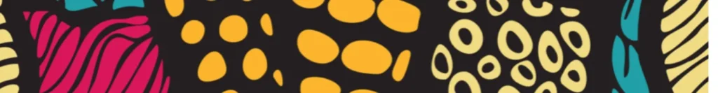 AFRIK N FUSION — vue 1