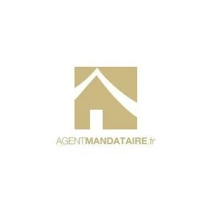 Logo AGENT MANDATAIRE FRANCE SAS