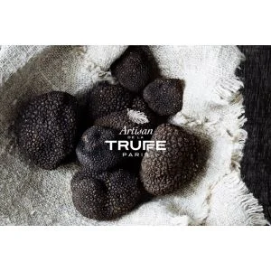 Logo ARTISAN DE LA TRUFFE