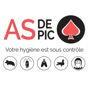 Logo AS DE PIC