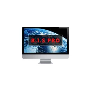 Logo BIS PRO