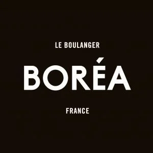 Logo BOREA