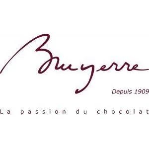 Logo BRUYERRE