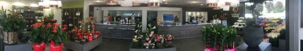 CARREMENT FLEURS — vue 1