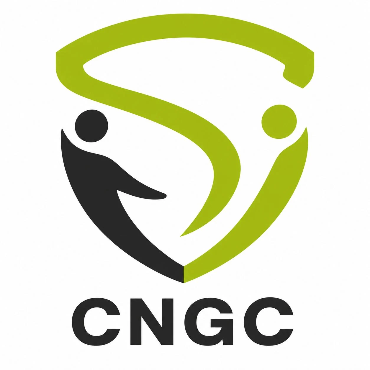 Logo CENTRE NATIONAL DE GESTION DES CONFLITS