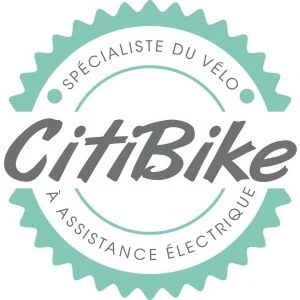 Logo CITIBIKE