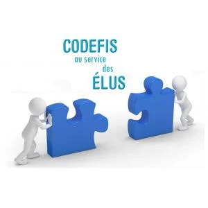 Logo CODEFIS