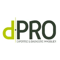 Logo D PRO
