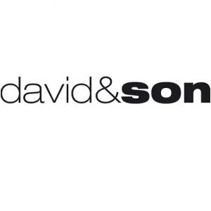 Logo DAVID AND SON