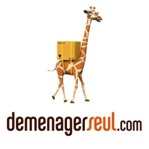 Logo DEMENAGERSEUL.COM