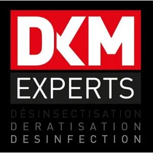 Logo DKM EXPERTS