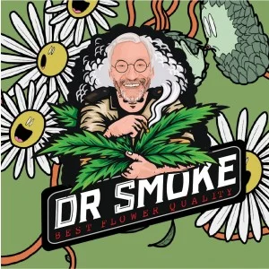 Logo DR SMOKE