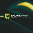 Logo DRIVING SPIRIT