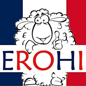 Logo EROHI