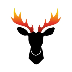 Logo FLAMMES DU MONDE