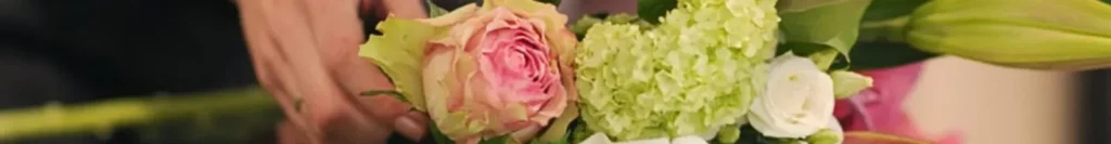 FLEURS Ô NATUREL — vue 1