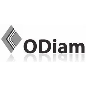 Logo GROUPE ODIAM