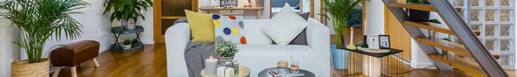 HOME STAGING EXPERTS — vue 1