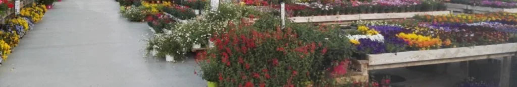 JARDINERIES DU TERROIR — vue 1