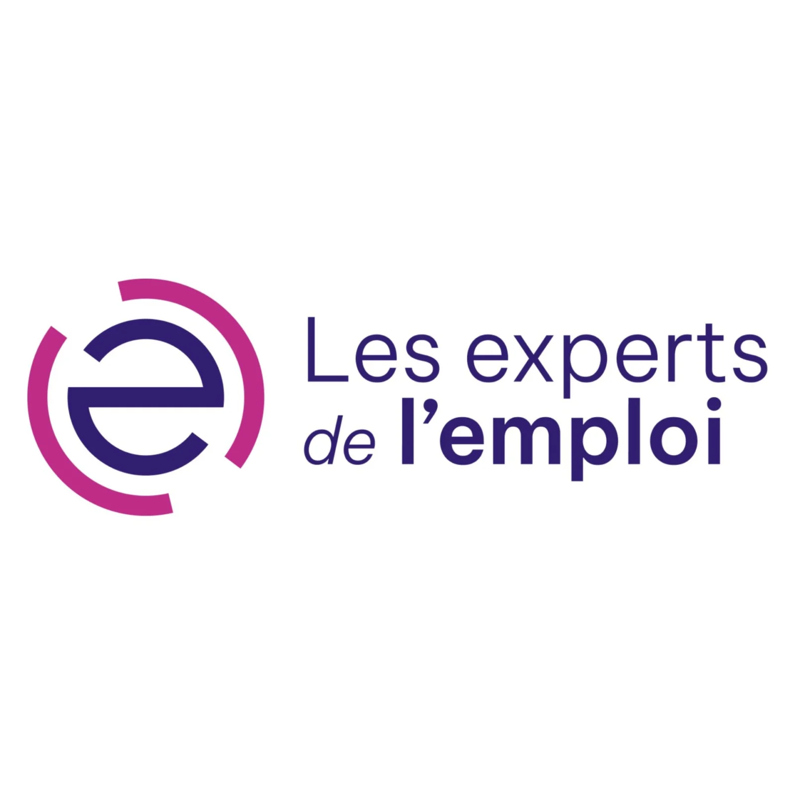 Logo LES EXPERTS DE L'EMPLOI