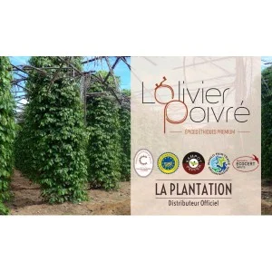 Logo L'OLIVIER POIVRÉ