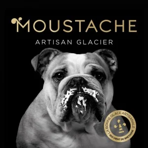 Logo MOUSTACHE