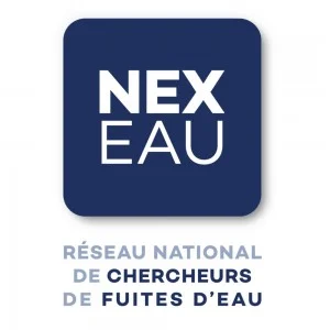 Logo NEXEAU