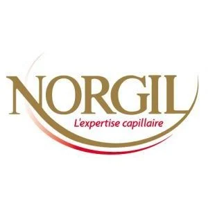 Logo NORGIL