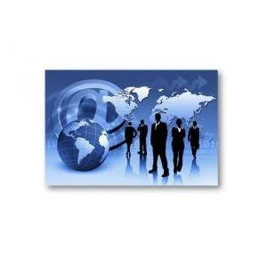 Logo NSE