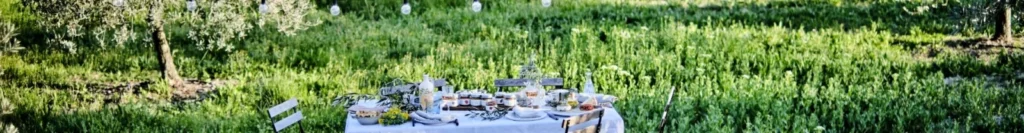 OLIVIERS&CO — vue 1