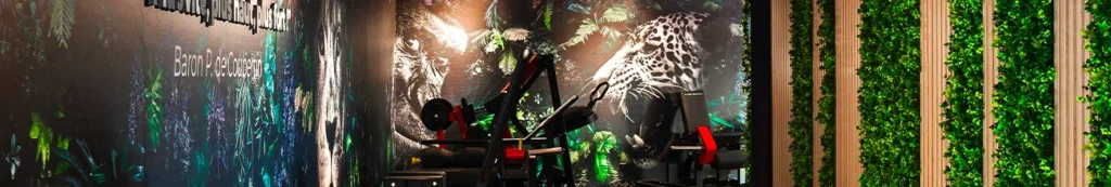 ONE FITNESS CLUB — vue 1