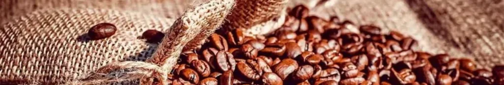 POINT CAFE® — vue 1