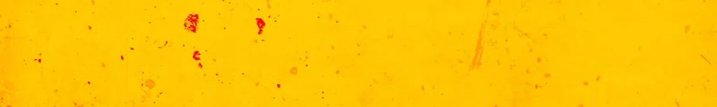 PRIZONERS — vue 1