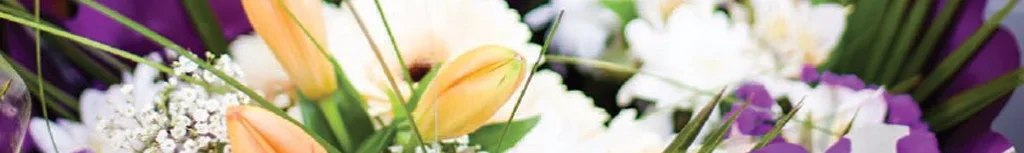 RAPID'FLORE / COEUR DE FLEURS — vue 1