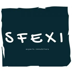 Logo SFEXI