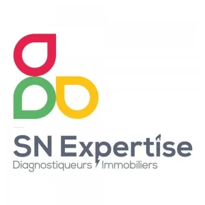 Logo SN EXPERTISE