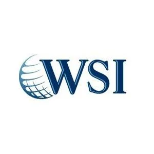 Logo WSI