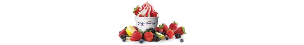 YOGURTLANDIA — vue 1